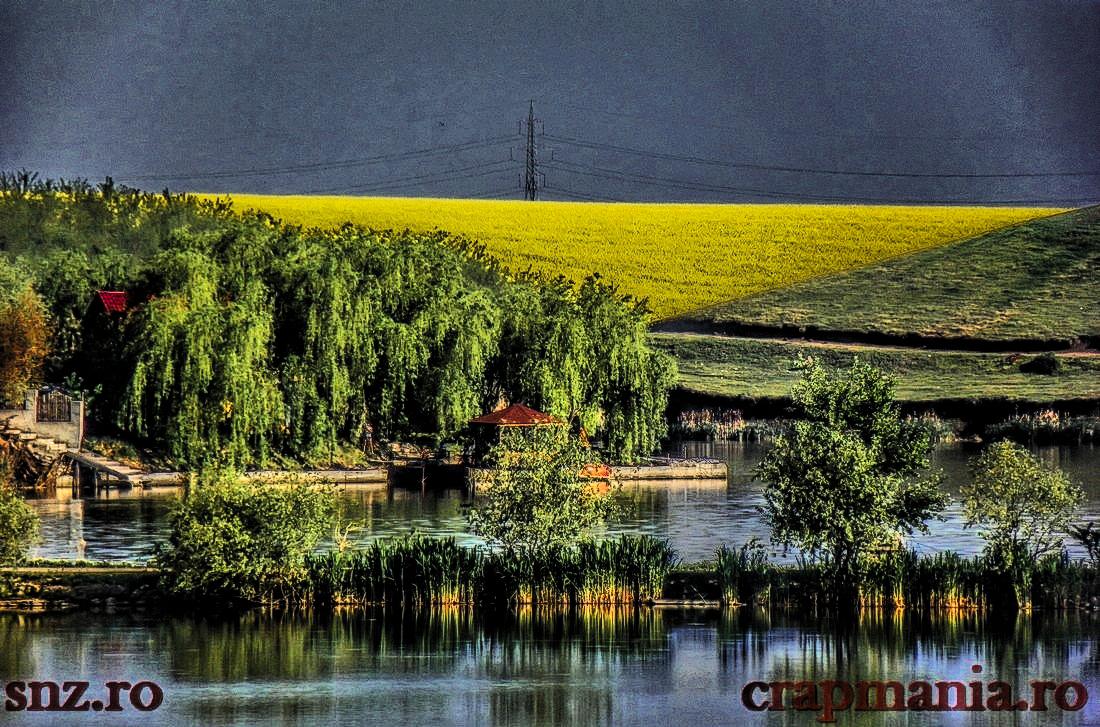 Party Cup - 2013 - 1010182hdrmode2.JPG